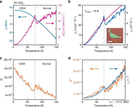 2H-TaS2谐振器的机械性能，薄膜厚度为31.2±0.6 nm，d=4 μm