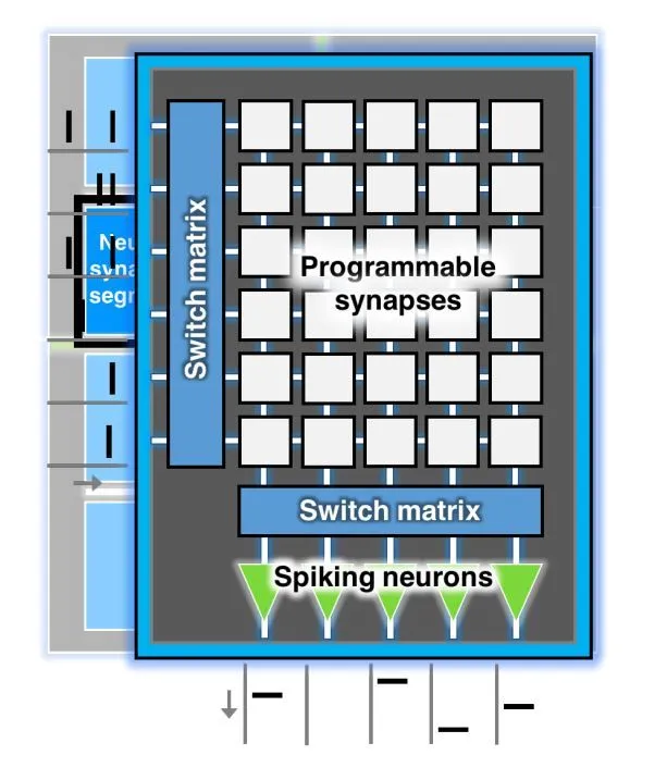 用于尖峰神经网络的神经形态人工智能芯片首次亮相