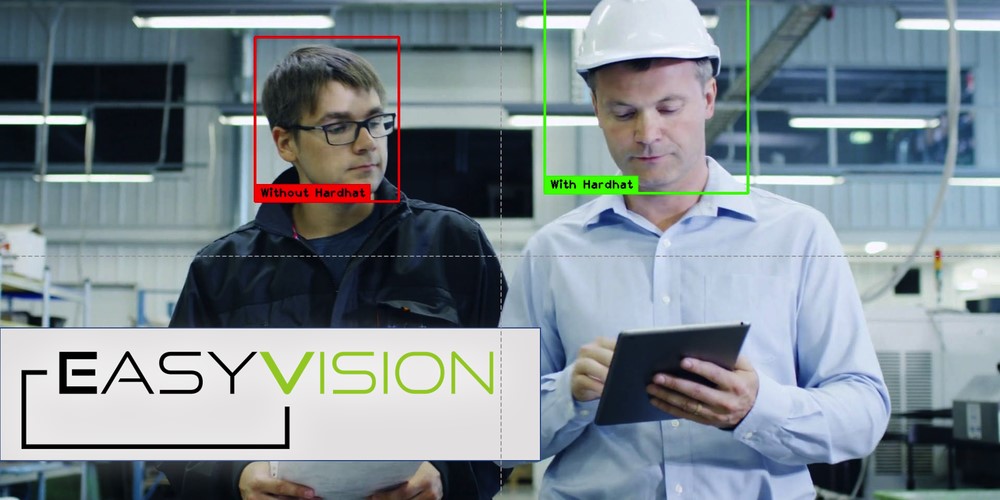 Flex Logix Easy Vision