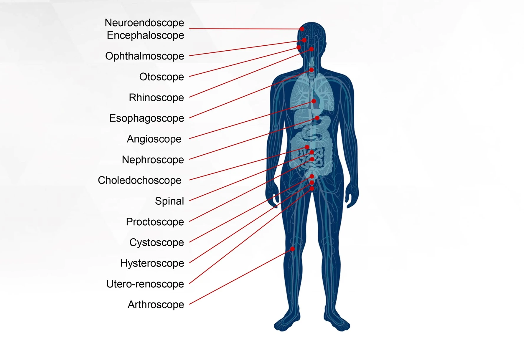 OmniVision Endoscopy applications