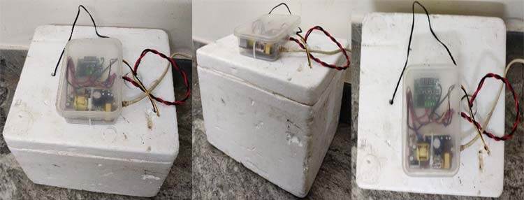 Eggs Automatic Incubator Testing