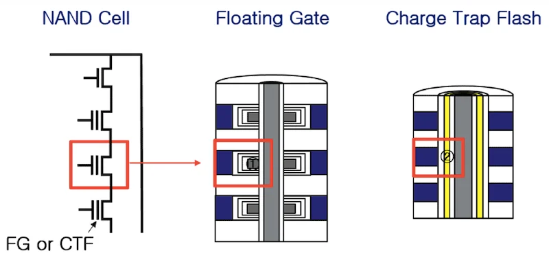 4D vertical structure