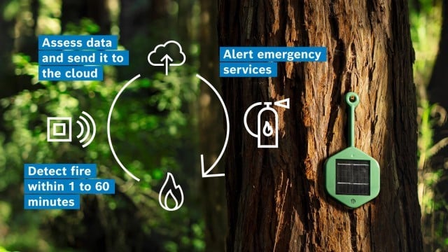 A network of BME688s can be mounted on trees to detect the early signs of a wildfire while only consuming 0.18 mAh for every 5-scans.