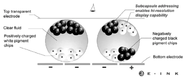 Cross-section of electronic-ink microcapsules