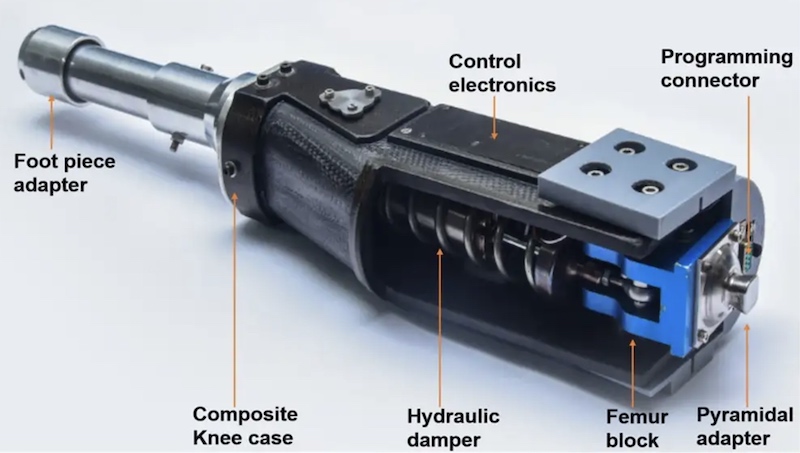 Diagram of the MPK-controlled knee