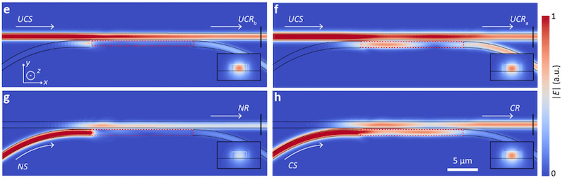 Electric field profiles of AMLE before and after learning