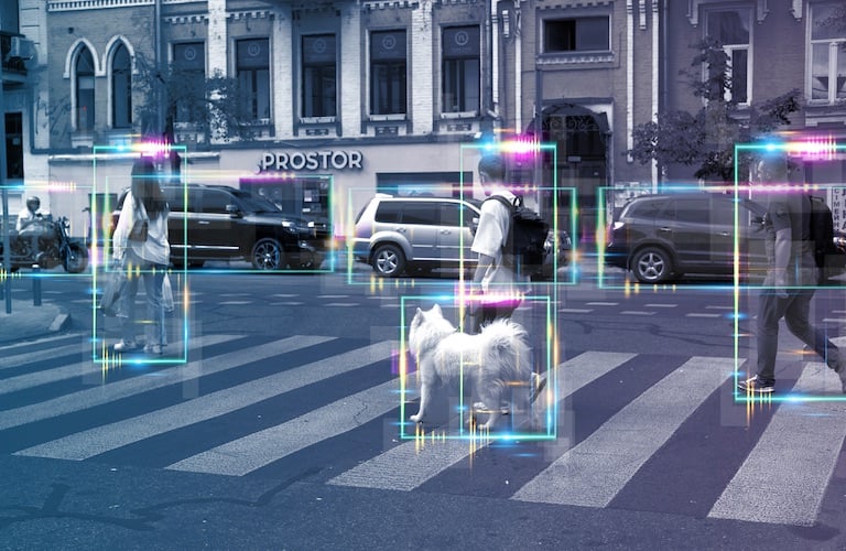 Example depicting AI-based smart camera technology used for smart city safety purposes.