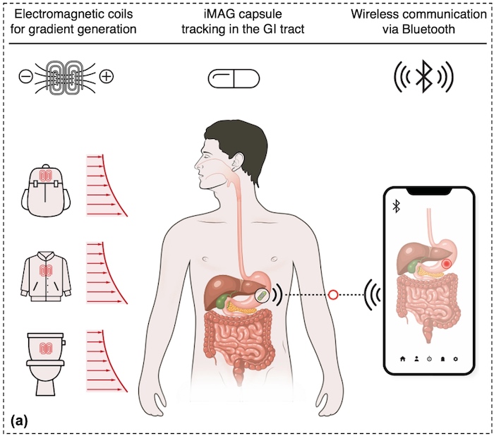 Some of the basic components of the ingesitble sensor