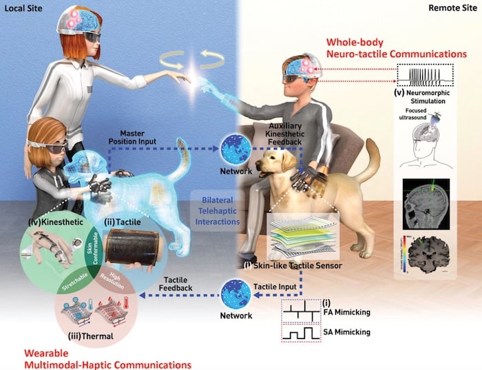 Telehaptic interaction