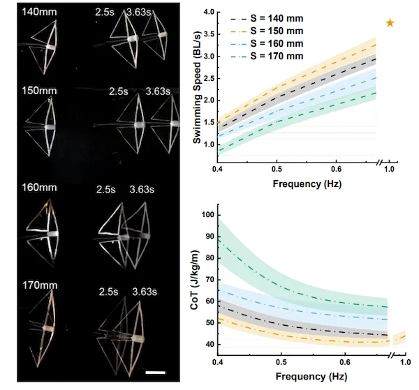 The frequency-speed/efficiency relationship