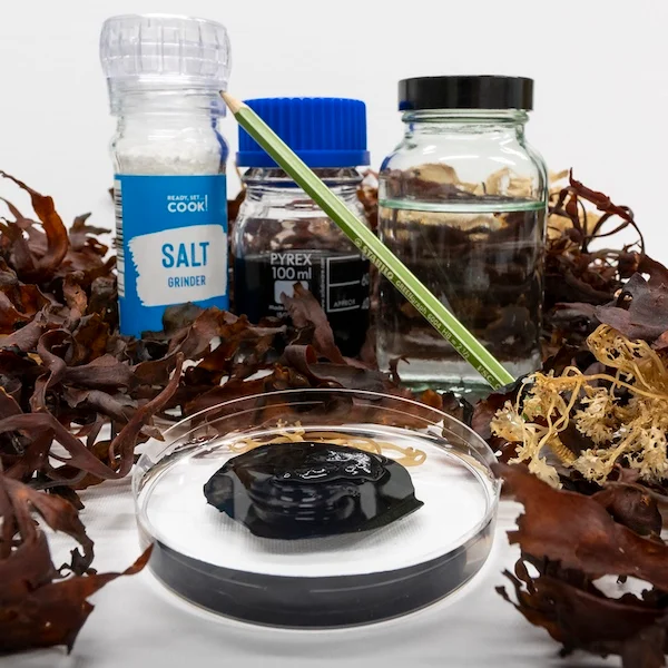 The researchers' graphene and seaweed hydrogel