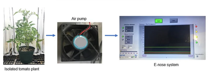 Using the electronic nose system to sample VOCs