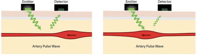 Smartwatches monitor our health using photoplethysmography.