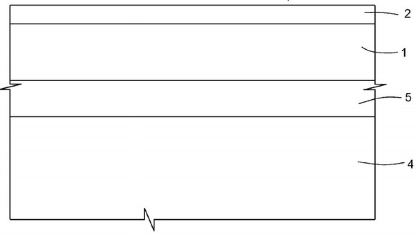 图四 : 碳化硅晶圆的剖面图。(Source：美国专利US8183573B2)