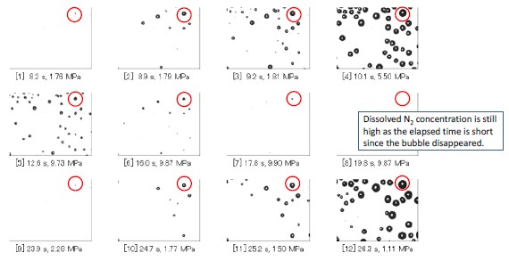 图2 : 气泡萎缩实验