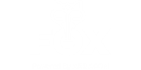 福克斯 (Fox)