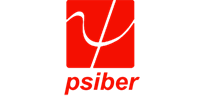 菲斯宝数据系统 (Psiber Data)