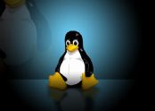 Linux