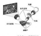 数字光处理器