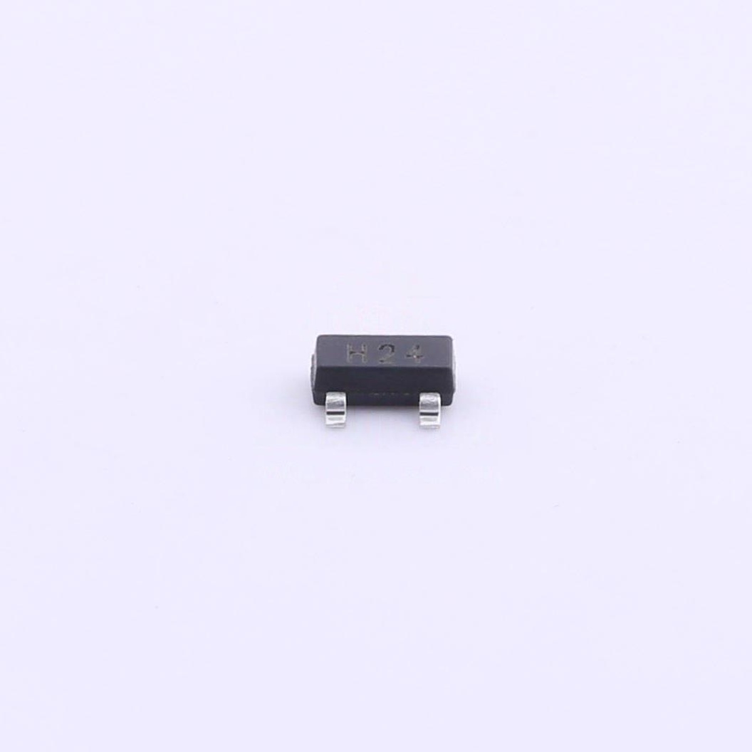30691